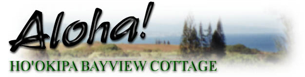 Maui cottage rentalVacation Rental-view-image