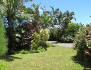 Maui Cottage Garden View