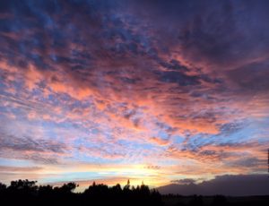 A delightful view from the cottage of the Maui sunset.