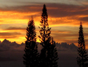 Maui Cottage Sunsets - Spectacular