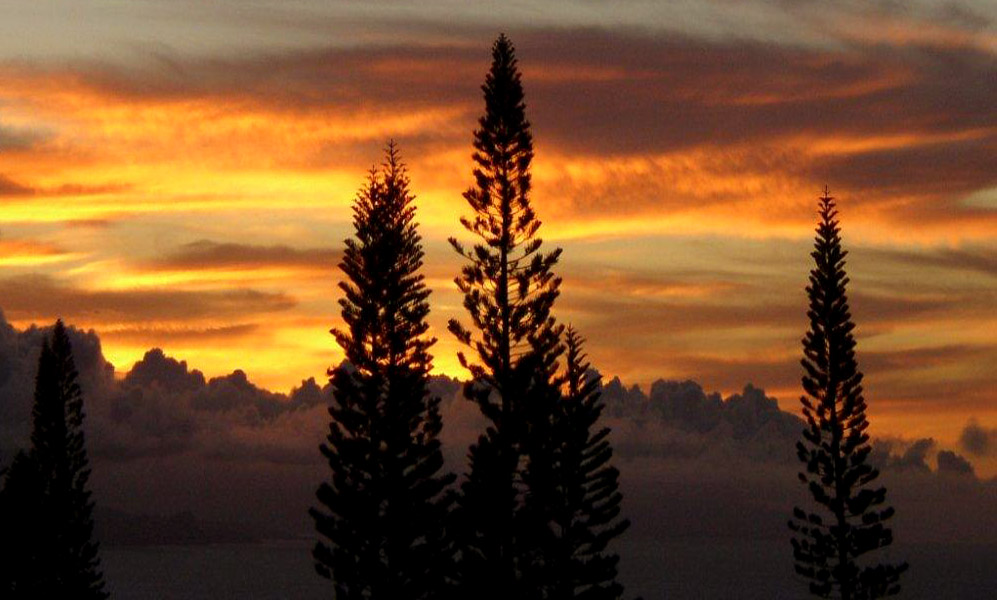 Maui Cottage Sunsets - Spectacular